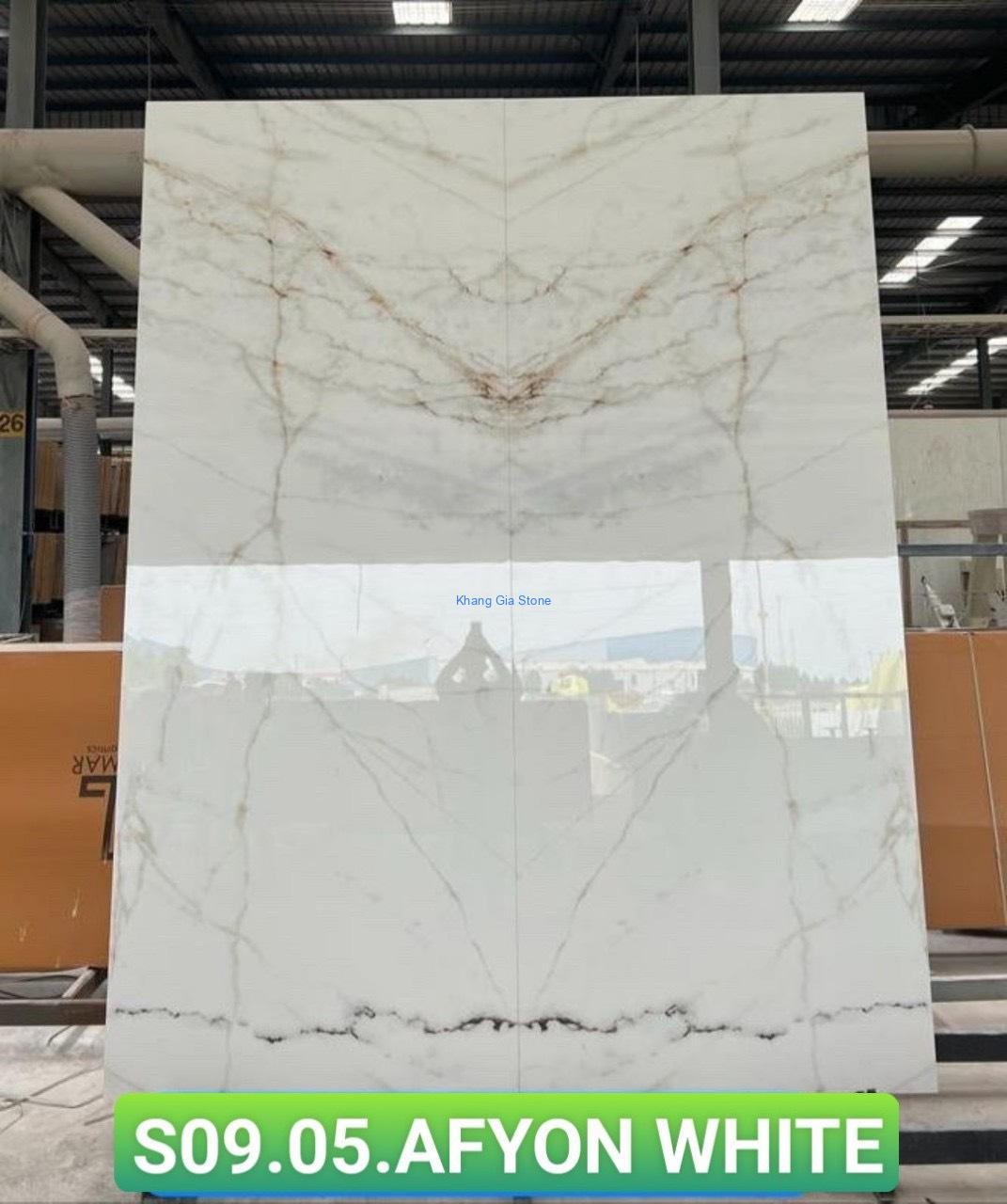 z5281934689381_379ac8c48b37bf4cba30a6b396cc8f65